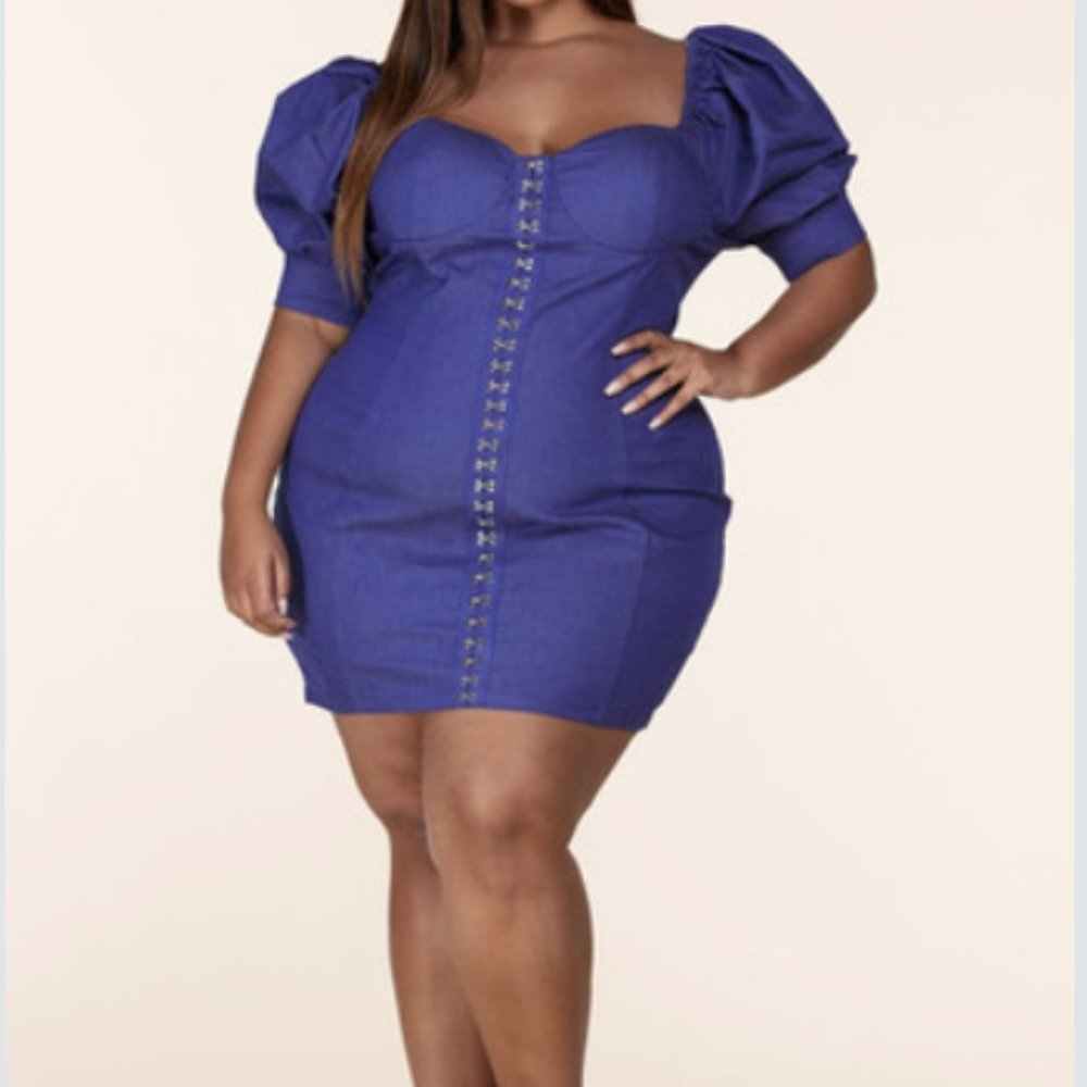 Plus Denim Dress